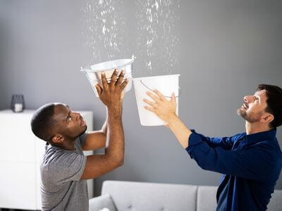 About Black Mold Removal Delmar - black mold removal experts in Delmar